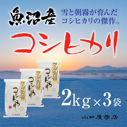 「厳選☆十日町育ち」魚沼産コシヒカリ　2kg×3袋　【 お米 米 コメ コシヒカリ 魚沼産 】　お届け：順次発送