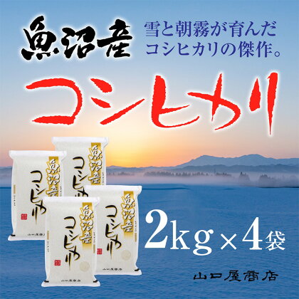 「厳選☆十日町育ち」魚沼産コシヒカリ　2kg×4袋　【 お米 米 コメ コシヒカリ 魚沼産 】　お届け：順次発送