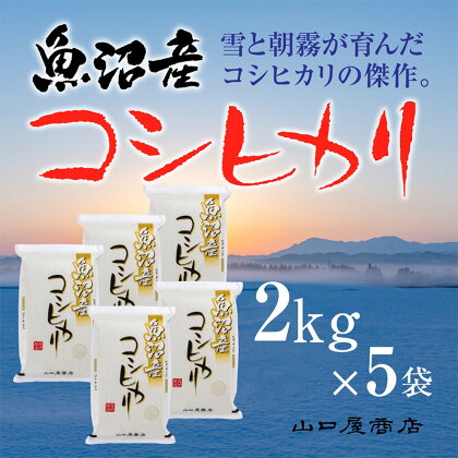 「厳選☆十日町育ち」魚沼産コシヒカリ　2kg×5袋　【 お米 米 コメ コシヒカリ 魚沼産 】　お届け：順次発送