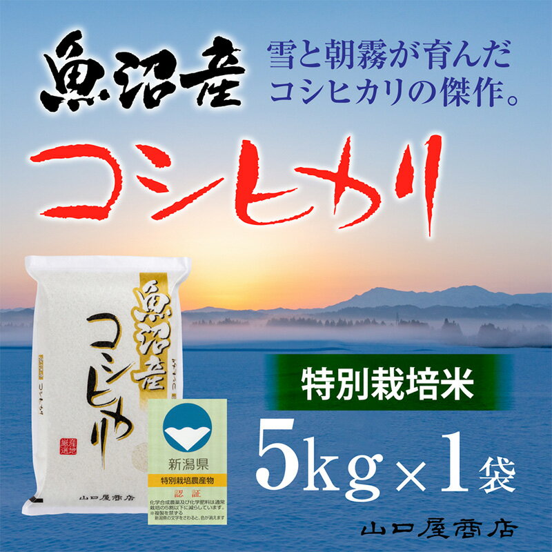 【ふるさと納税】【厳選☆十日町育ち】“特別栽培米” 魚沼産コ