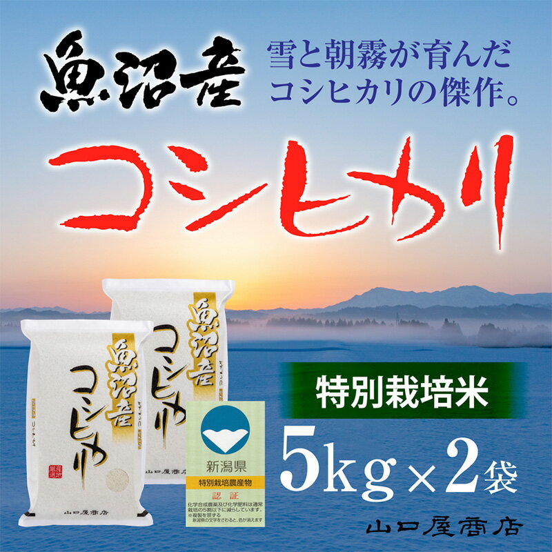 18位! 口コミ数「0件」評価「0」【厳選☆十日町育ち】“特別栽培米” 魚沼産コシヒカリ　5kg×2袋　【 お米 米 コメ コシヒカリ 魚沼産 】　お届け：順次発送