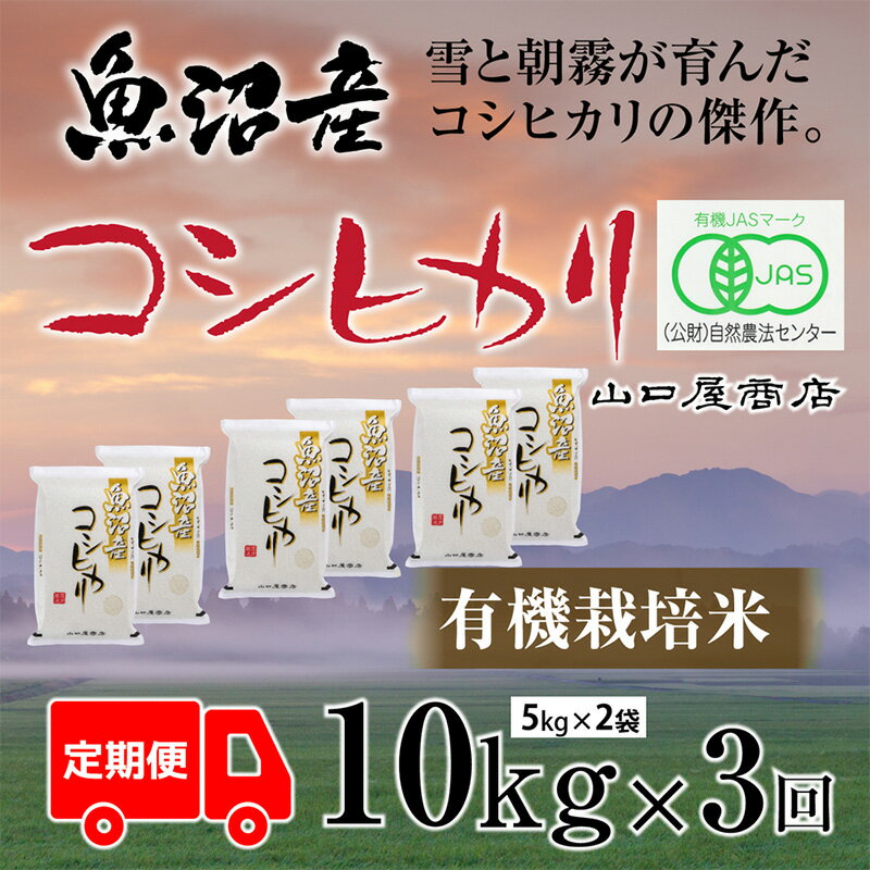 1位! 口コミ数「0件」評価「0」【定期便☆全3回】★令和5年産★“有機栽培米” 魚沼産コシヒカリ 5kg×2袋　【定期便・ お米 米 コメ コシヒカリ 魚沼産 】　お届け：･･･ 