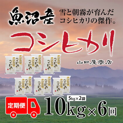 【定期便☆全6回】★令和5年産★魚沼産コシヒカリ 5kg×2袋　【定期便・ お米 米 コメ コシヒカリ 魚沼産 】　お届け：10月上旬より順次発送致します。