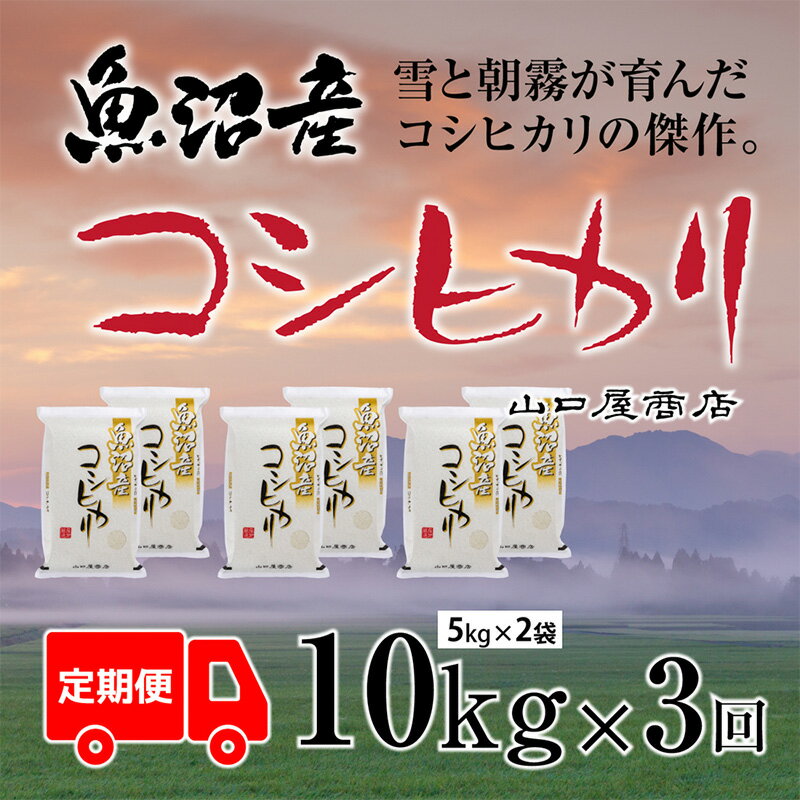 46位! 口コミ数「0件」評価「0」【定期便☆全3回】★令和5年産★魚沼産コシヒカリ 5kg×2袋　【定期便・ お米 米 コメ コシヒカリ 魚沼産 】　お届け：10月上旬より順･･･ 