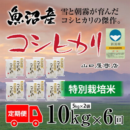 【定期便☆全6回】★令和5年産★“特別栽培米” 魚沼産コシヒカリ 5kg×2袋　【定期便・ お米 米 コメ コシヒカリ 魚沼産 】　お届け：10月中旬より順次発送致します。