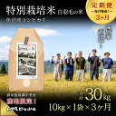 【ふるさと納税】【通年受付】≪令和5年産≫【定期便／全3回】農家直送！魚沼産コシヒカリ特別栽培「白羽毛の米」精米(10kg×1袋)×3回 30kg　【定期便・ お米 】　お届け：2023年10月01日から発送開始。通年受付にて、月1回全3回お届けいたします。