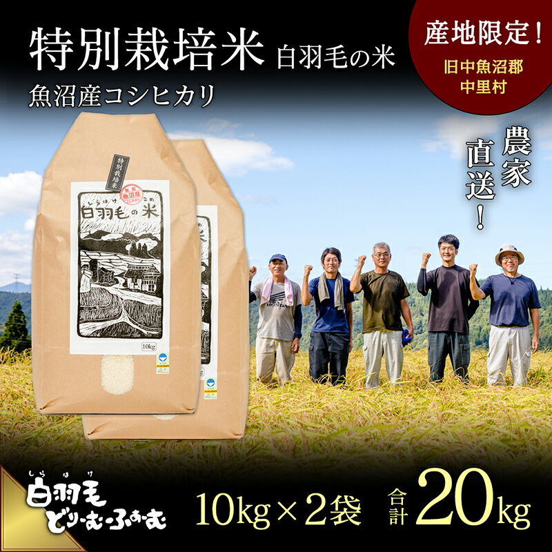 【ふるさと納税】【通年受付】≪令和5年産≫　農家直送！魚沼産