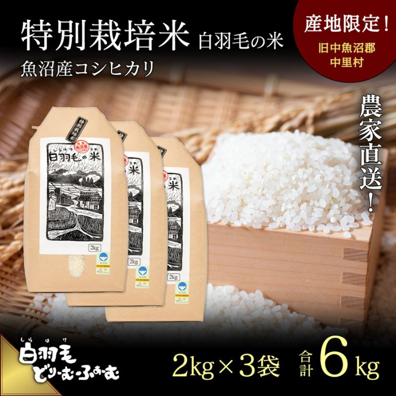 【ふるさと納税】【通年受付】≪令和5年産≫　農家直送！魚沼産