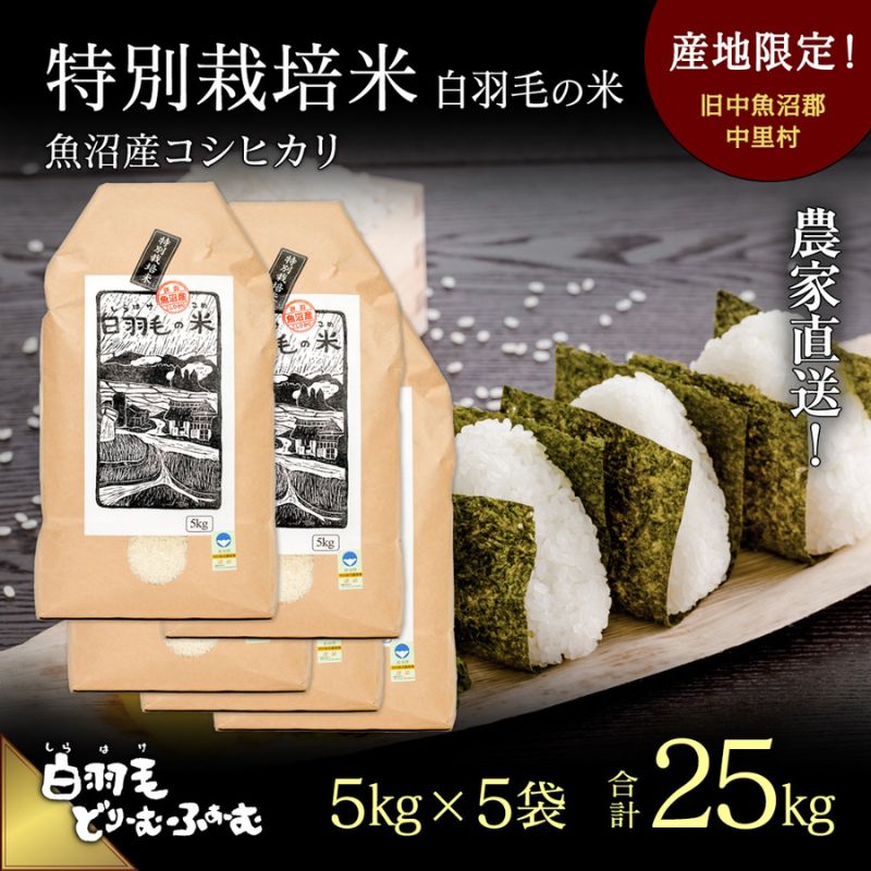 20位! 口コミ数「0件」評価「0」【通年受付】≪令和5年産≫　農家直送！魚沼産コシヒカリ特別栽培「白羽毛の米」精米 (5kg×5袋) 25kg　【お米 白米 】　お届け：20･･･ 