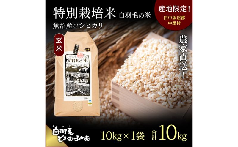 【ふるさと納税】【通年受付】≪令和5年産≫　農家直送！魚沼産コシヒカリ特別栽培「白羽毛の米」玄米(10kg×1袋) 10kg　【 お米 ご飯 安心 】　お届け：2023年10月01日発送開始。通年受付にてお届けします。