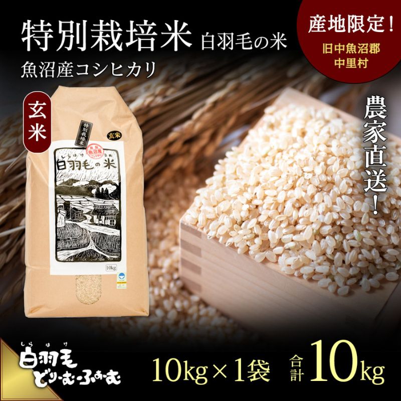 【ふるさと納税】【通年受付】≪令和5年産≫　農家直送！魚沼産コシヒカリ特別栽培「白羽毛の米」玄米(1...