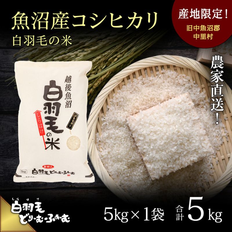 【ふるさと納税】【通年受付】≪令和5年産≫ 農家直送!魚沼産コシヒカリ「白羽毛の米」精米 (5kg×1袋) 5kg 【お米 白米 ご飯】 お届け:2023年10月01日発送開始。通年受付にてお届けします。