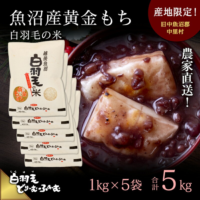 [通年受付]≪令和5年産≫ 農家直送!魚沼産黄金もち「白羽毛の米」精米(1kg×5袋) 5kg [お米 白米 ] お届け:2023年10月01日発送開始。通年受付にてお届けします。