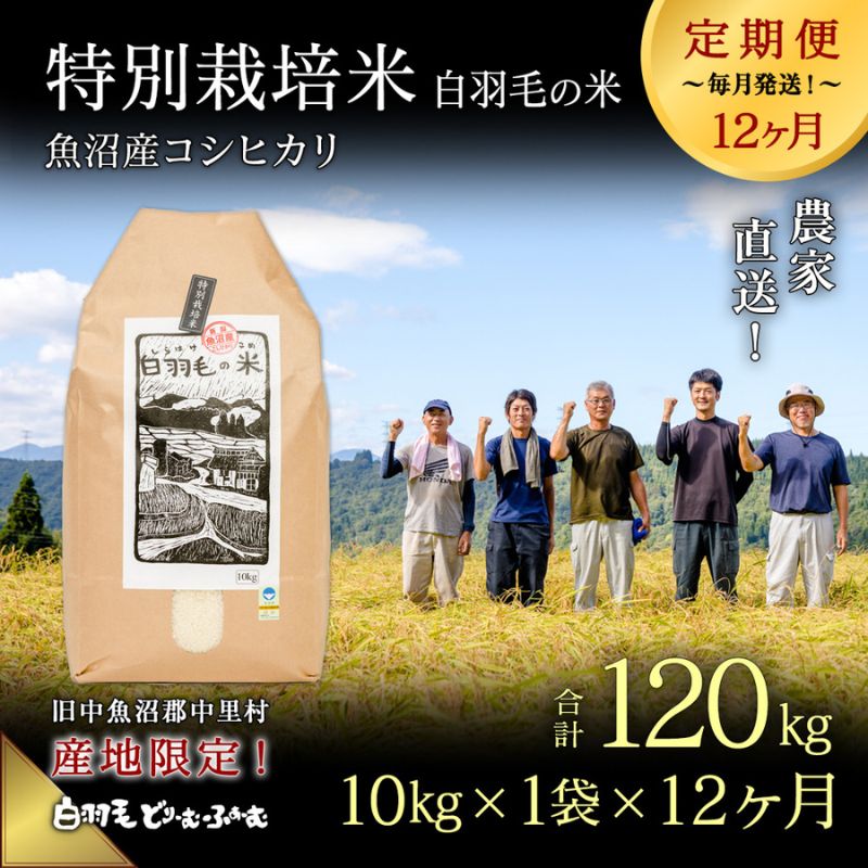 5位! 口コミ数「0件」評価「0」【通年受付】≪令和5年産≫【定期便／全12回】農家直送！魚沼産コシヒカリ特別栽培「白羽毛の米」精米(10kg×1袋)×12回 120kg　【･･･ 