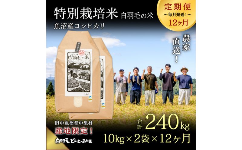 【ふるさと納税】【通年受付】≪令和5年産≫【定期便／全12回】農家直送！魚沼産コシヒカリ特別栽培「白羽毛の米」精米(10kg×2袋)×12回 240kg　【定期便・ お米 】　お届け：2023年10月01日から発送開始。通年受付にて、月1回全12回お届けいたします。