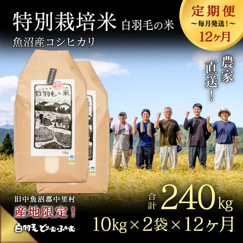 【ふるさと納税】【通年受付】≪令和5年産≫【定期便／全12回】農家直送！魚沼産コシヒカリ特別栽培「白羽毛の米」精米(10kg×2袋)×12回 240kg　【定期便・ お米 】　お届け：2023年10月01日から発送開始。通年受付にて、月1回全12回お届けいたします。