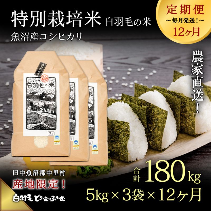 25位! 口コミ数「0件」評価「0」【通年受付】≪令和5年産≫【定期便／全12回】農家直送！魚沼産コシヒカリ特別栽培「白羽毛の米」精米(5kg×3袋)×12回 180kg　【定･･･ 