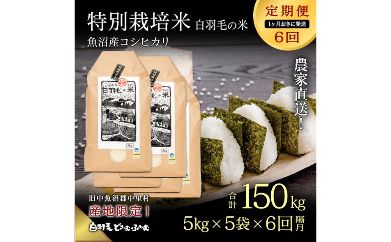 【ふるさと納税】【通年受付】≪令和5年産≫【定期便／1ヶ月おき全6回】農家直送！魚沼産コシヒカリ特別栽培「白羽毛の米」精米(5kg×5袋)×6回 150kg　【定期便・ お米 白米 ご飯 】