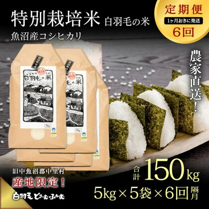 【通年受付】≪令和5年産≫【定期便／1ヶ月おき全6回】農家直送！魚沼産コシヒカリ特別栽培「白羽毛の米」精米(5kg×5袋)×6回 150kg　【定期便・ お米 白米 ご飯 】