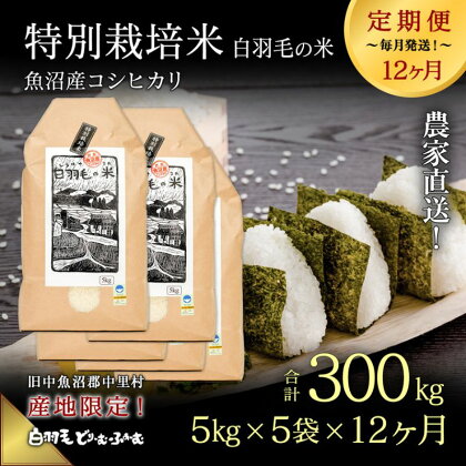 【通年受付】≪令和5年産≫【定期便／全12回】農家直送！魚沼産コシヒカリ特別栽培「白羽毛の米」精米(5kg×5袋)×12回 300kg　【定期便・ お米 】　お届け：2023年10月01日から発送開始。通年受付にて、月1回全12回お届けいたします。