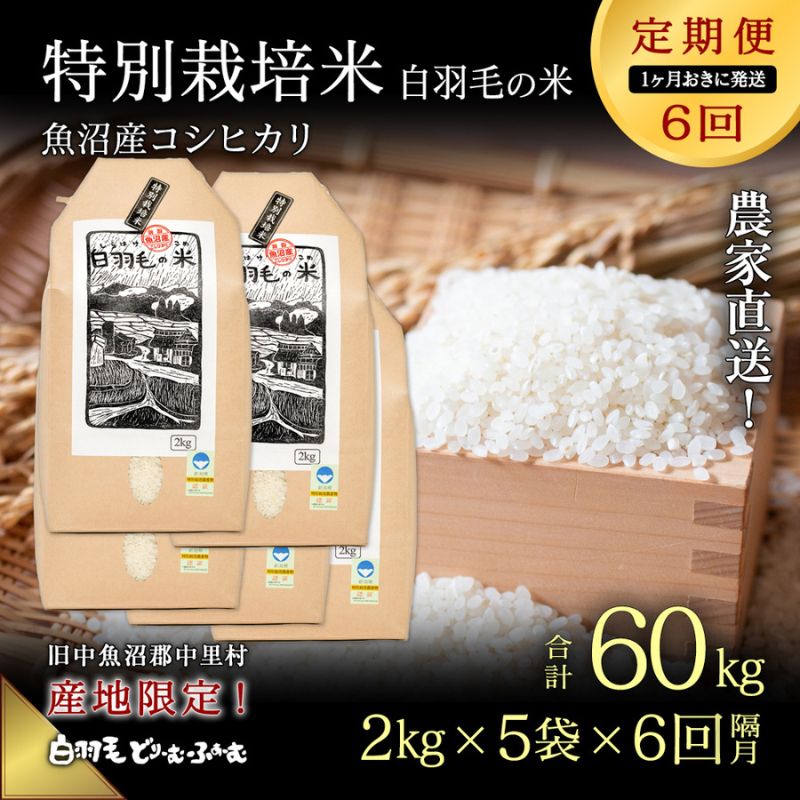 [通年受付]令和5年産[定期便/1ヶ月おき全6回]魚沼産コシヒカリ 特別栽培「白羽毛の米」精米(2kg×5袋)×6回 60kg [定期便・ お米 白米 ご飯 ]