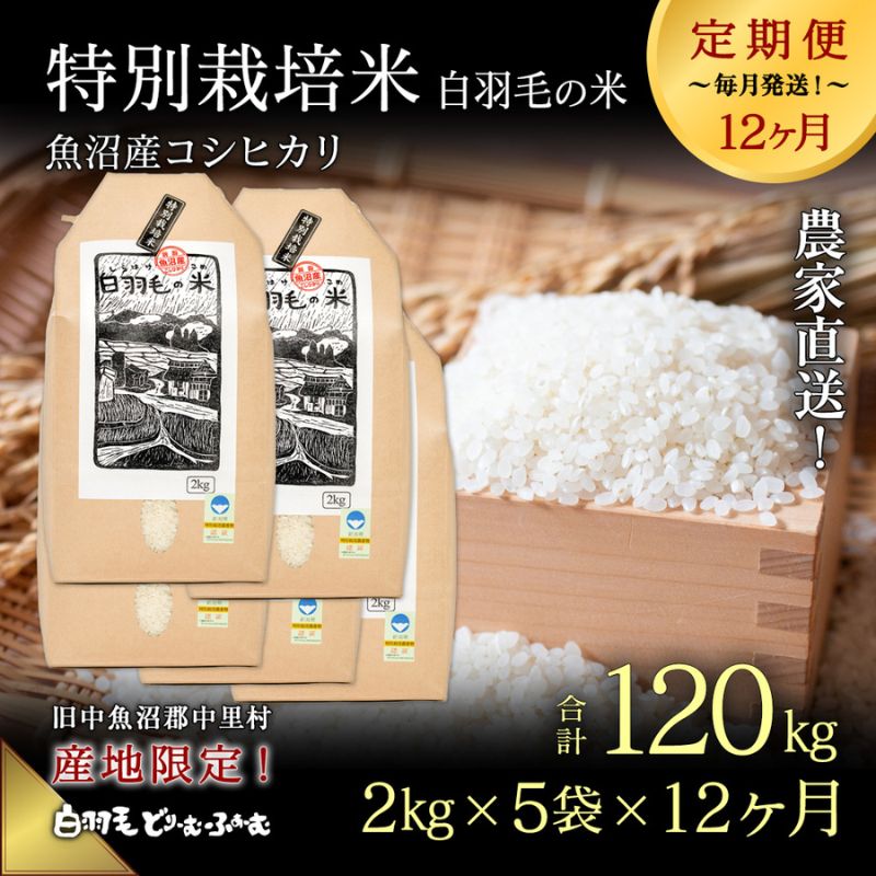 【ふるさと納税】【通年受付】≪令和5年産≫【定期便／全12回