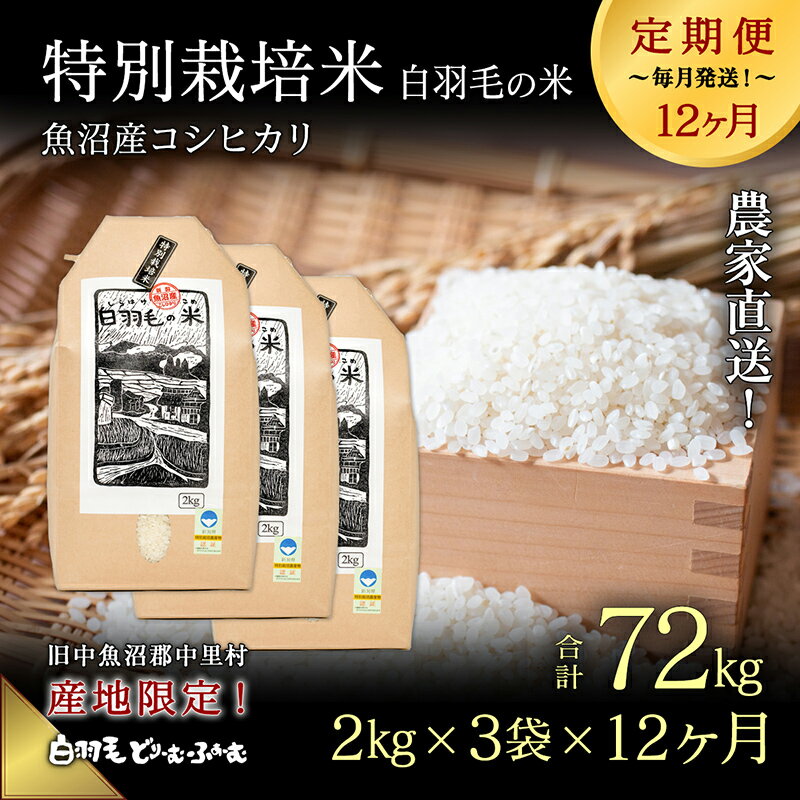 【ふるさと納税】【通年受付】≪令和5年産≫【定期便／全12回