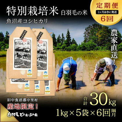 【通年受付】≪令和5年産≫【定期便／1ヶ月おき全6回】農家直送！魚沼産コシヒカリ特別栽培「白羽毛の米」精米(1kg×5袋)×6回 30kg　【定期便・ お米 白米 ご飯 】