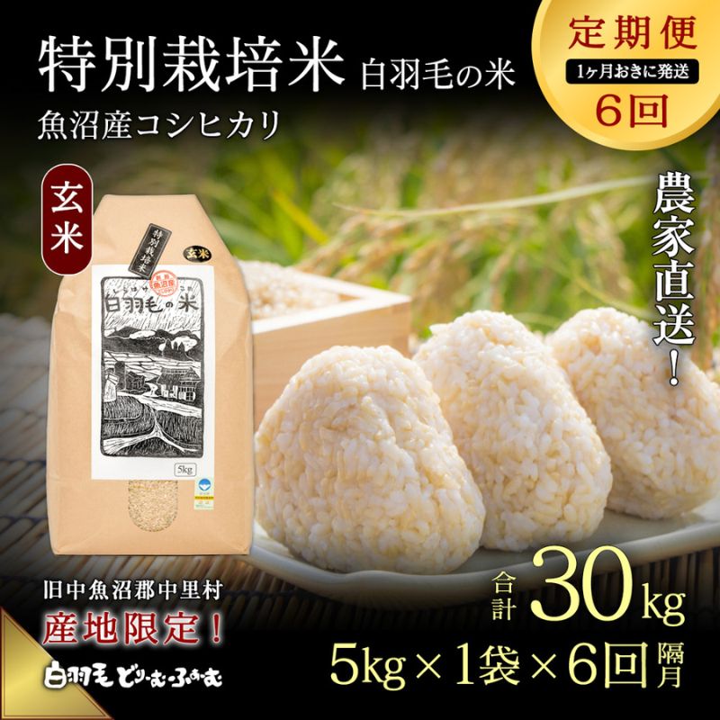 楽天新潟県十日町市【ふるさと納税】【通年受付】≪令和5年産≫【定期便／1ヶ月おき全6回】農家直送！魚沼産コシヒカリ特別栽培「白羽毛の米」玄米（5kg×1袋）×6回 30kg　【定期便・ お米 白米 安心　】