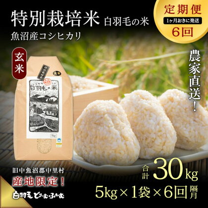 【通年受付】≪令和5年産≫【定期便／1ヶ月おき全6回】農家直送！魚沼産コシヒカリ特別栽培「白羽毛の米」玄米(5kg×1袋)×6回 30kg　【定期便・ お米 白米 安心　】