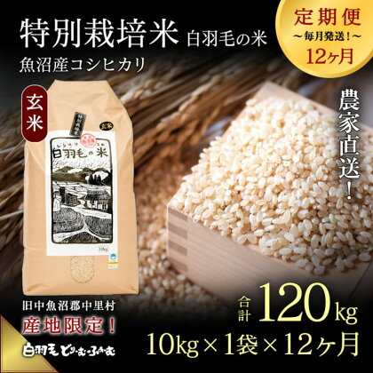 【通年受付】≪令和5年産≫【定期便／全12回】農家直送！魚沼産コシヒカリ特別栽培「白羽毛の米」玄米(10kg×1袋)×12回 120kg　【定期便・ お米 】