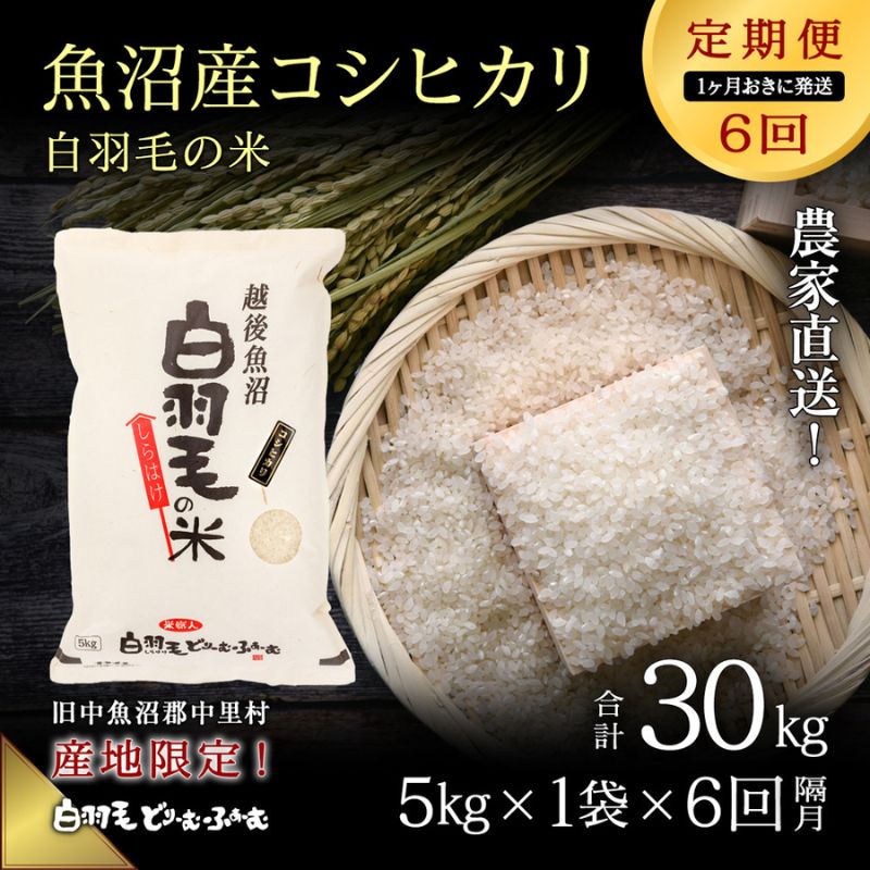 37位! 口コミ数「0件」評価「0」【通年受付】≪令和5年産≫【定期便／1ヶ月おき全6回】農家直送！魚沼産コシヒカリ「白羽毛の米」精米(5kg×1袋)×6回 30kg　【定期便･･･ 