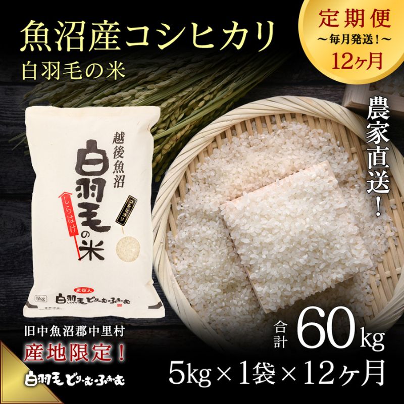 【ふるさと納税】【通年受付】≪令和5年産≫【定期便／全12回