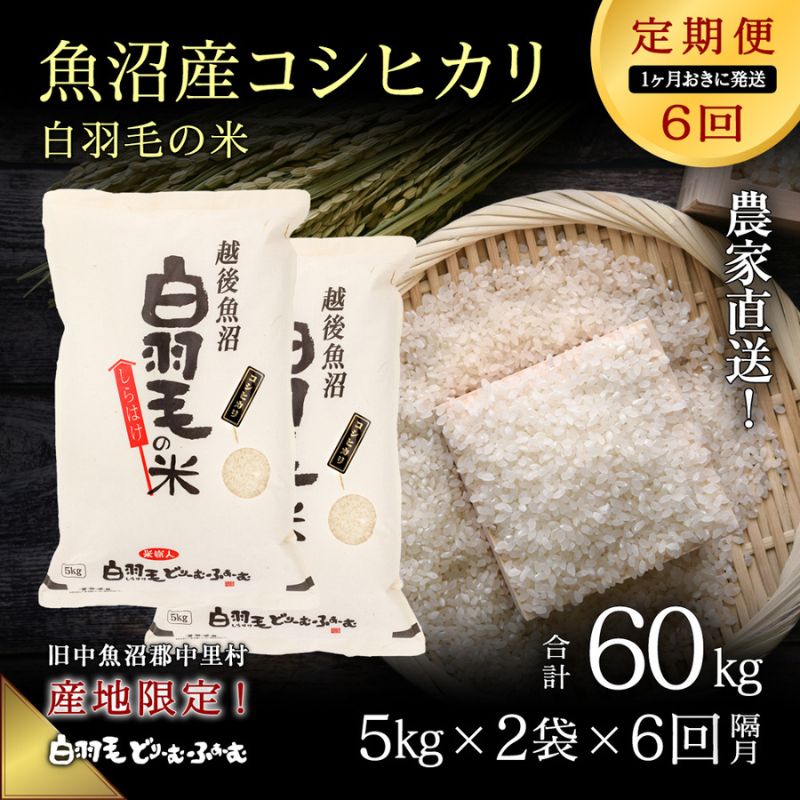 [通年受付]≪令和5年産≫[定期便/1ヶ月おき全6回]農家直送!魚沼産コシヒカリ「白羽毛の米」精米 (5kg×2袋)×6回 60kg [定期便・ お米 ] お届け:2023年10月01日から発送開始。通年受付にて、1ヶ月おきに月全6回お届けいたします。