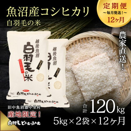 【通年受付】≪令和5年産≫【定期便／全12回】農家直送！魚沼産コシヒカリ「白羽毛の米」精米(5kg×2袋)×12回 120kg　【定期便・ お米 】　お届け：2023年10月01日から発送開始。通年受付にて、月1回全12回お届けいたします。