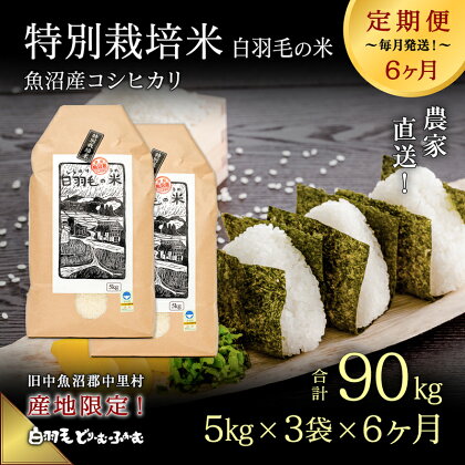 【通年受付】≪令和5年産≫【定期便／全6回】農家直送！魚沼産コシヒカリ特別栽培「白羽毛の米」精米15kg(5kg×3袋)×6回 計90kg　【定期便・ お米 】　お届け：10月01日から発送開始。通年受付にて、月1回全6回お届けいたします。