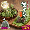 【ふるさと納税】ミニ笹だんご つぶあん 20個×2袋 計40個 セット 冷凍 笹団子 銘菓 ダンゴ 新潟 お土産 餅 和菓子 もち だんご おやつ パーティー ...