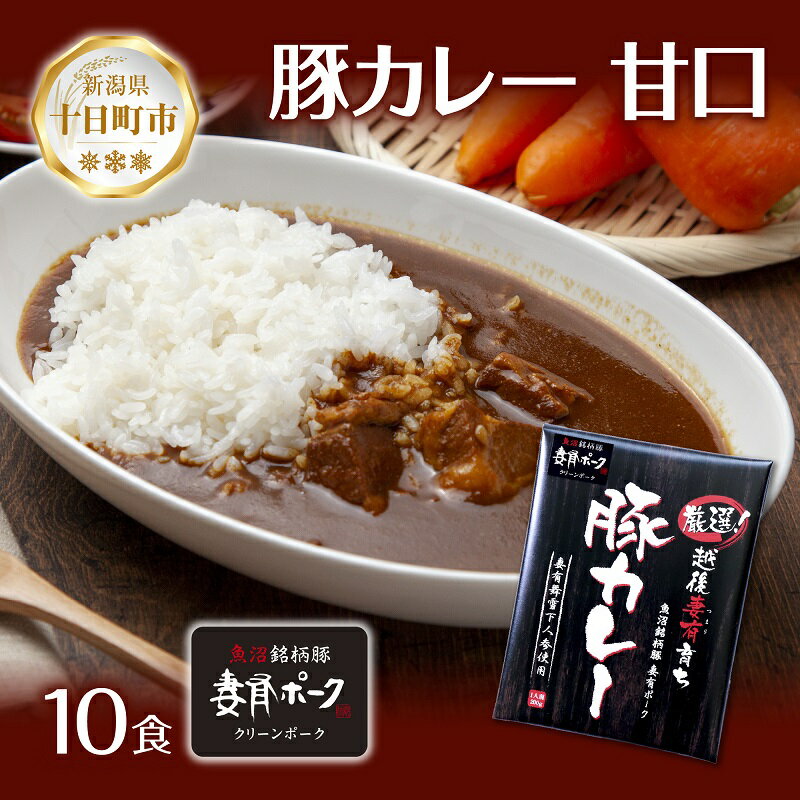 【ふるさと納税】妻有ポーク 豚カレー 甘口 200g 10食