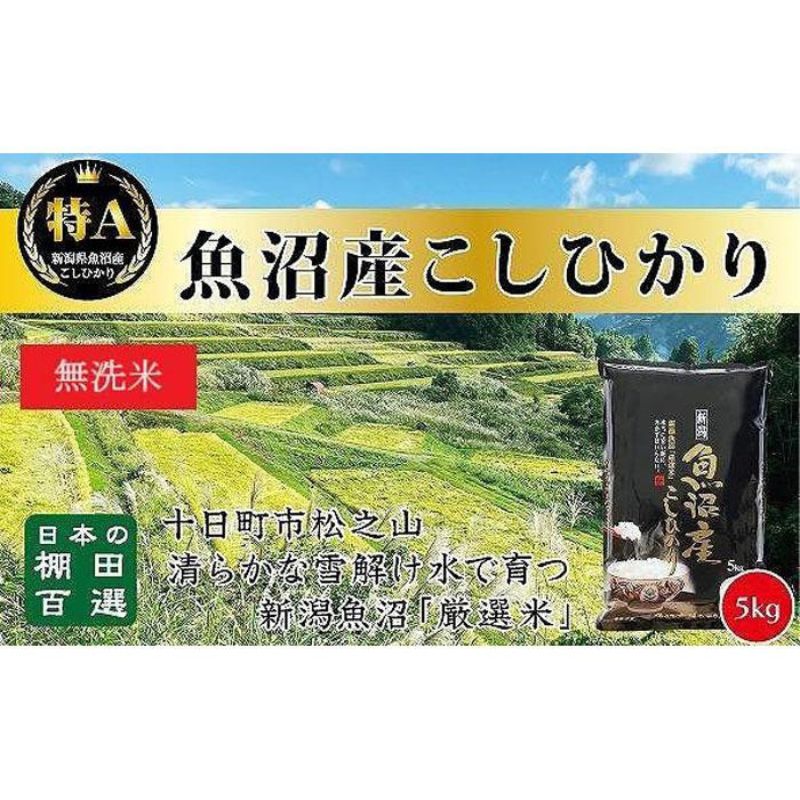 【ふるさと納税】日本棚田百選のお米《無洗米》天空の里・魚沼産こしひかり　5kg×1　【 白米 安心 安全 こだわり 】　お届け：ご入金確認後、10日以内に発送致します。