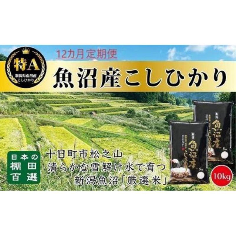 「12カ月定期便」日本棚田百選のお米 天空の里・魚沼産こしひかり 10kg(5kg×2)×12回 [定期便・ お米 白米 ご飯 ] お届け:1回目はご入金確認後10日以内に発送、2回目以降は毎月1回発送いたします。