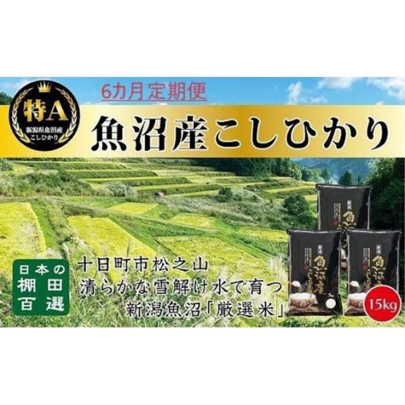 【ふるさと納税】「6カ月定期便」日本棚田百選のお米　天空の里