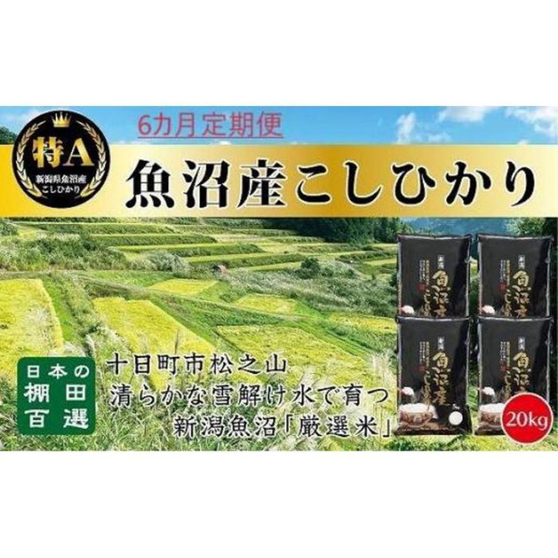 2位! 口コミ数「0件」評価「0」「6カ月定期便」日本棚田百選のお米　天空の里・魚沼産こしひかり　20kg（5kg×4）×6回　【定期便・ 白米 】　お届け：1回目はご入金確･･･ 