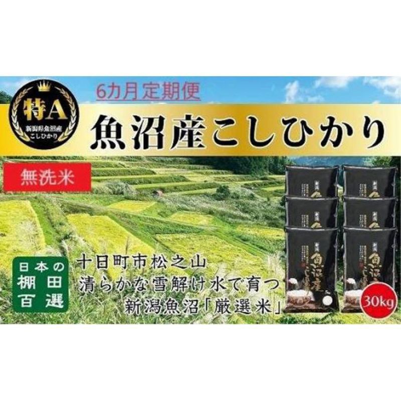 【ふるさと納税】無洗米「6カ月定期便」日本棚田百選のお米　天空の里・魚沼産こしひかり　30kg（5kg×6）×6回　【定期便・ 白米 安心 安全 こだわり】　お届け：1回目はご入金確認後10日以内に発送、2回目以降は毎月1回発送いたします。