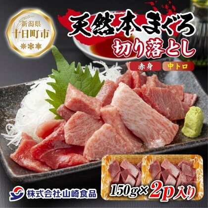 天然 本マグロ 切り落とし 赤身 中トロ 150g×2パック 計300g 本まぐろ クロマグロ 中とろ 冷凍 まぐろ 鮪 海鮮 刺身 海鮮丼 手巻き寿司 お取り寄せ グルメ 送料無料 新潟県 十日町市　【 魚貝類 冷凍 旨み 便利 パック 】