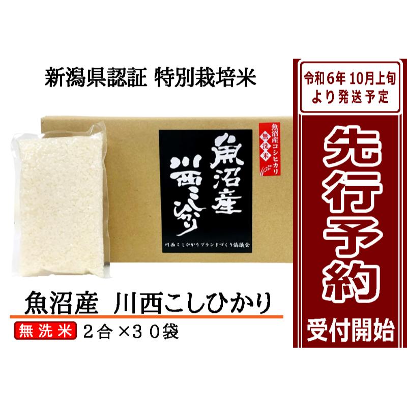 【ふるさと納税】【先行予約】【無洗米】魚沼産川西こしひかり2