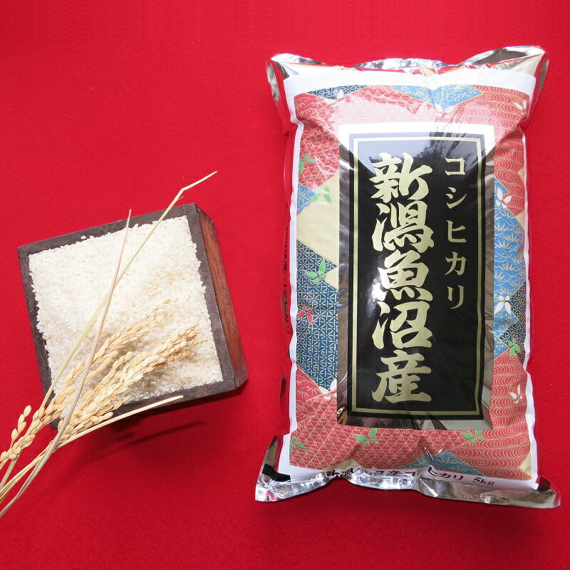 【ふるさと納税】魚沼産コシヒカリ 5kg　【 お米 米 コメ
