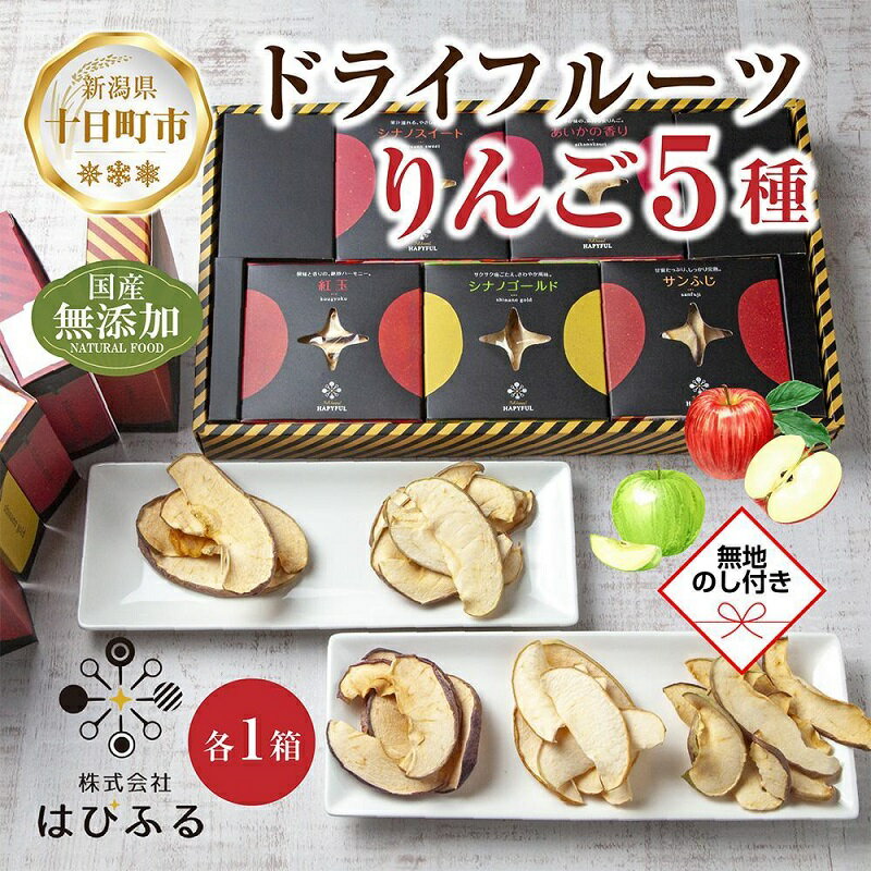 【ふるさと納税】【熨斗】ドライフルーツ りんご 5種(シナノ
