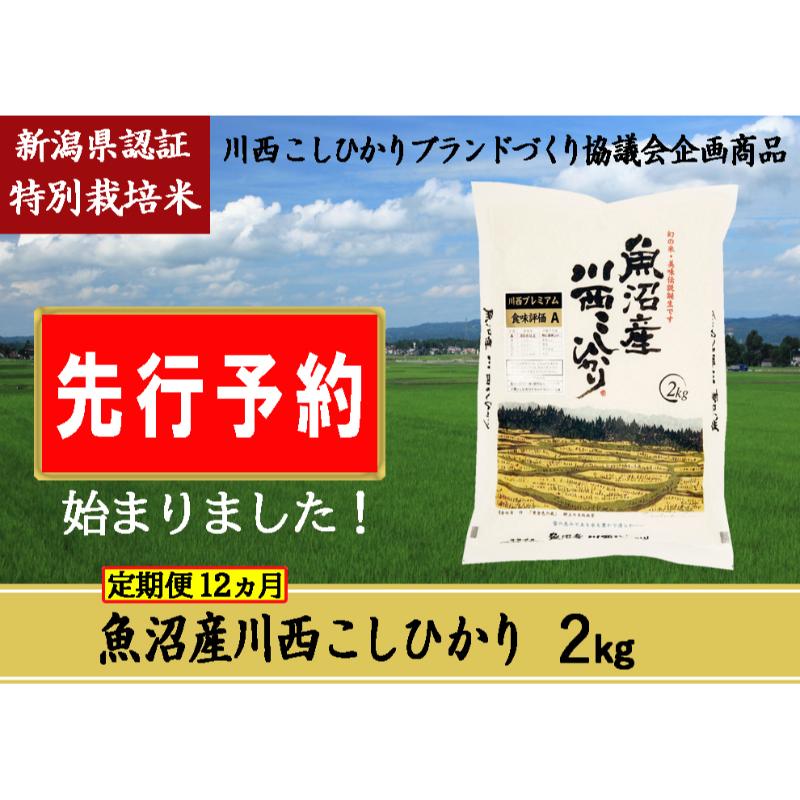 【ふるさと納税】【先行予約】【定期便／12ヶ月】魚沼産川西こ