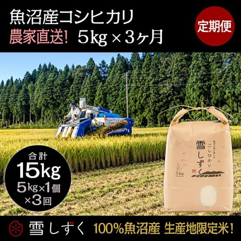 【ふるさと納税】定期便！魚沼産コシヒカリ【合計15kg】毎月5kg×3回　【定期便・ お米 ブランド米 銘柄米 精米 白米 ご飯 おにぎり お弁当 和食 産地直送 】　お届け：準備でき次第、順次発送いたします。