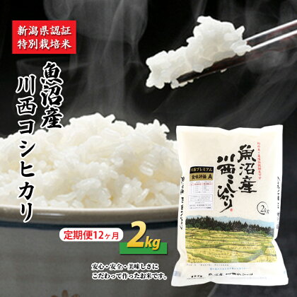 【定期便／12ヶ月】魚沼産川西こしひかり2kg 新潟県認証特別栽培米 令和5年度米　【定期便・ お米 米 コシヒカリ こしひかり 魚沼産 魚沼産コシヒカリ 魚沼産こしひかり 】　お届け：準備でき次第、順次発送